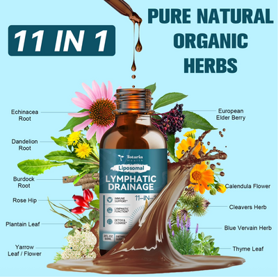 Liposomal Lymphatic Drainage Drops 11-in-1 Organic Formula - Support Your Lymphatic Health